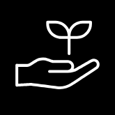 Sustainability